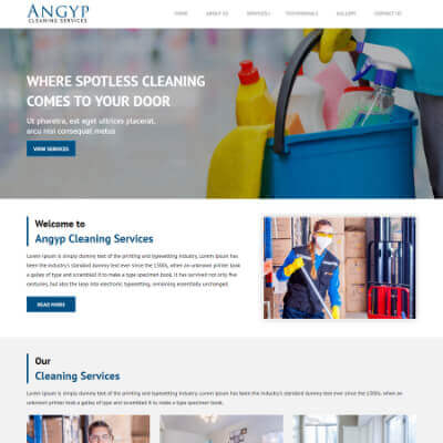 Angyp Cleaning Services